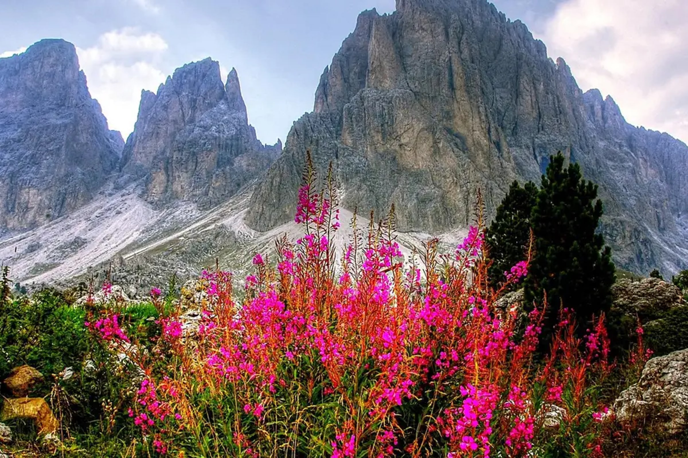 Dolomite Mountains and Cortina Semi Private Day Trip from Venice